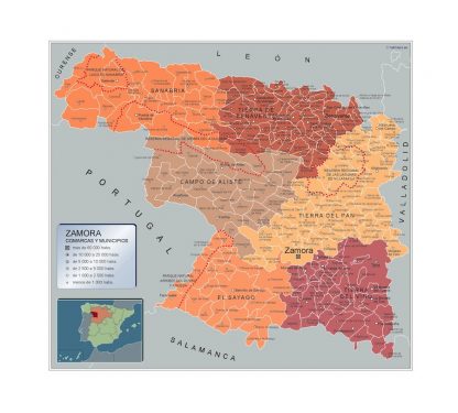Mapa Zamora por municipios enmarcado plastificado